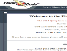 Tablet Screenshot of flashcodeasp.com